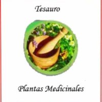 <a title="Tesauro de Plantas Medicinales" href="http://webserv.fq.edu.uy/tematres/index.php"><strong>Tesauro de plantas medicinales</strong></a>